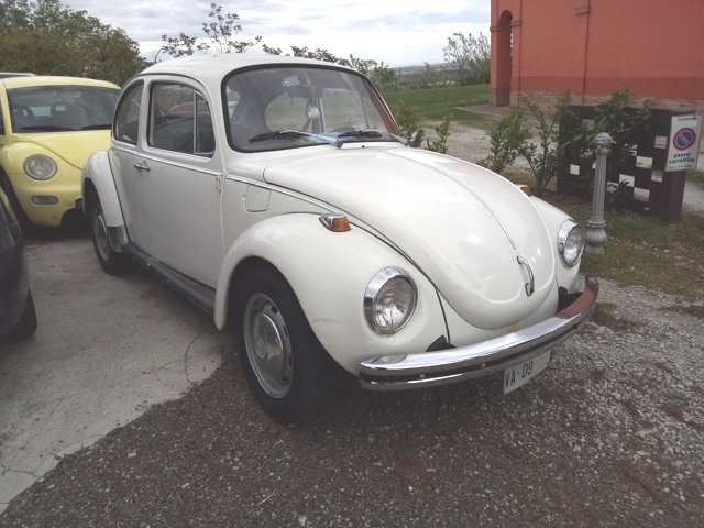 www.targhenere.net/gallery2/wp-content/uploads/2019/03/vw_maggiolino_va_d9_fronte.jpg