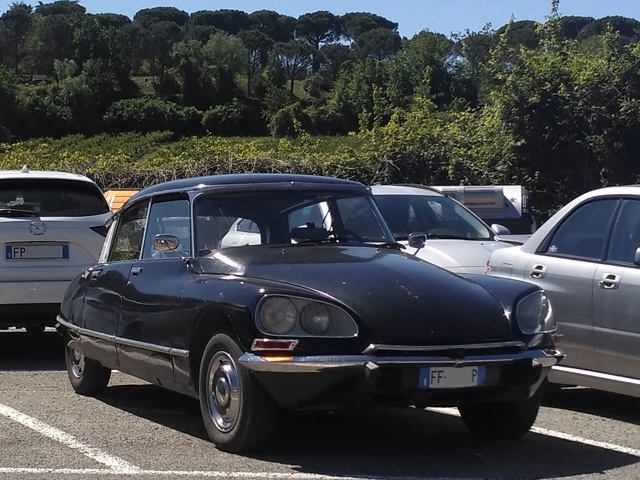 www.targhenere.net/gallery2/wp-content/uploads/2019/04/img20190430wa0002_ffp_cc_2200_polar_tn46893.jpg