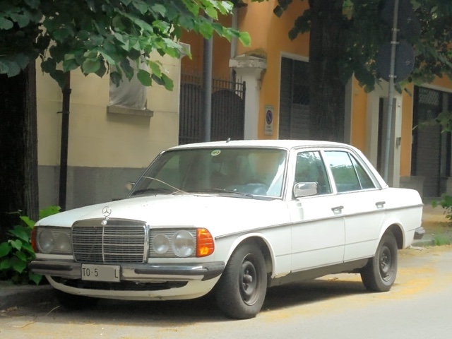 www.targhenere.net/gallery2/wp-content/uploads/2019/06/img-20180624-wa0095.jpg