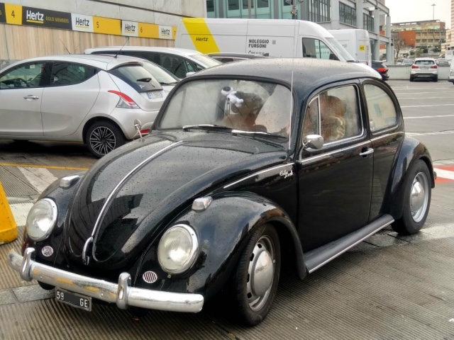 www.targhenere.net/gallery2/wp-content/uploads/2019/06/img_20190414_092000_ant_markino_tn47845.jpg