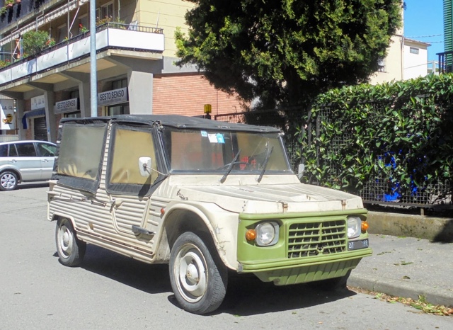 www.targhenere.net/gallery2/wp-content/uploads/2019/07/img-20190427-wa0054.jpg