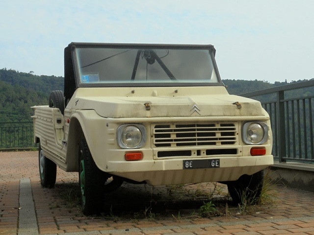www.targhenere.net/gallery2/wp-content/uploads/2019/09/img-20180720-wa0229.jpg