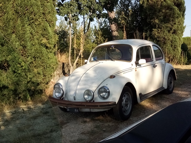 www.targhenere.net/gallery2/wp-content/uploads/2019/09/vw_maggiolino_ra36_fronte_oinotna_tn28326.jpg