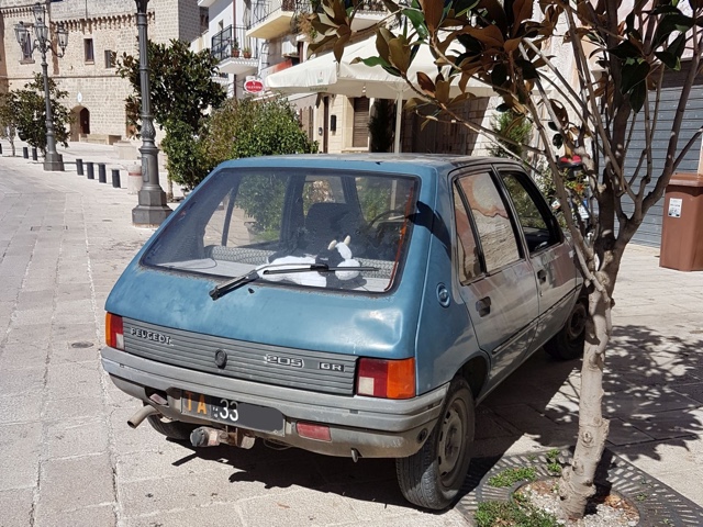 www.targhenere.net/gallery2/wp-content/uploads/2019/10/20190928_121125_dariomontrone_tn50685.jpg