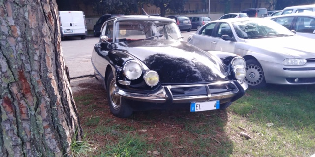 www.targhenere.net/gallery2/wp-content/uploads/2019/12/img-20191202-wa0029_svalvolato_tn30283.jpg