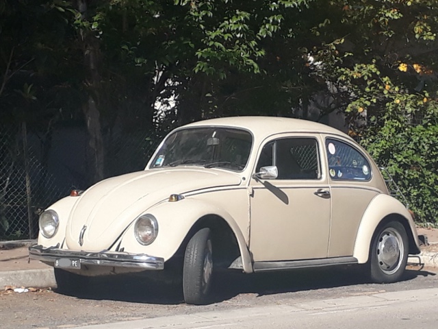 www.targhenere.net/gallery2/wp-content/uploads/2020/10/volkswagen_maggiolino_mk1_1200_34cv_1970_tonymura_tn26073.jpg