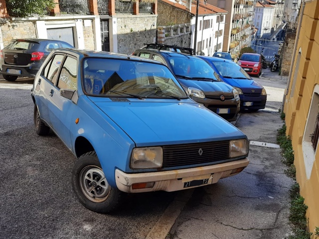 www.targhenere.net/gallery2/wp-content/uploads/2021/02/renault_14_fronte.jpg
