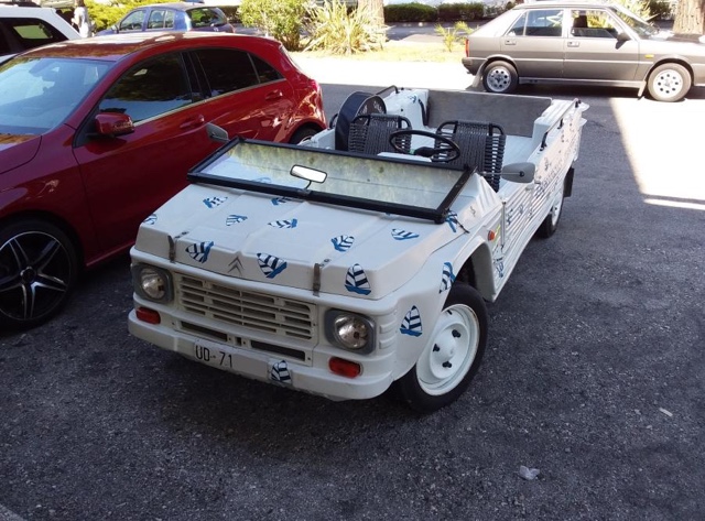 www.targhenere.net/gallery2/wp-content/uploads/2021/07/citroen_mehari_1982_1992_2.jpg