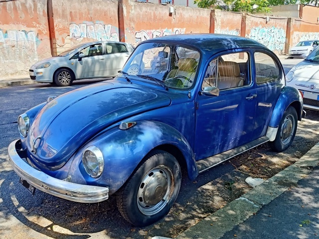 www.targhenere.net/gallery2/wp-content/uploads/2021/07/vw_beetle_frontale_giorgetto_tn37311.jpg