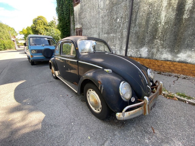 www.targhenere.net/gallery2/wp-content/uploads/2021/08/anteriore_vw_maggiolone_enricovale_tn33846.jpg