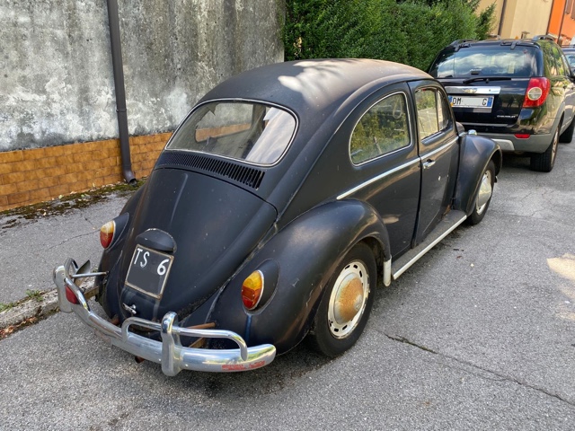 www.targhenere.net/gallery2/wp-content/uploads/2021/08/posteriore_vw_maggiolons_enricovale_tn33846.jpg