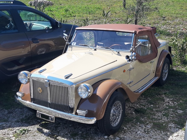 www.targhenere.net/gallery2/wp-content/uploads/2022/03/fiat_850_siata_spring_2.jpg