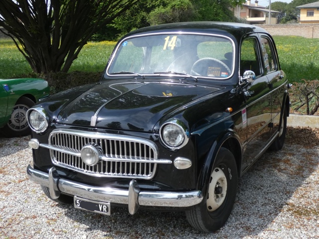 www.targhenere.net/gallery2/wp-content/uploads/2022/04/fiat1100_gabford_tn41776.jpg