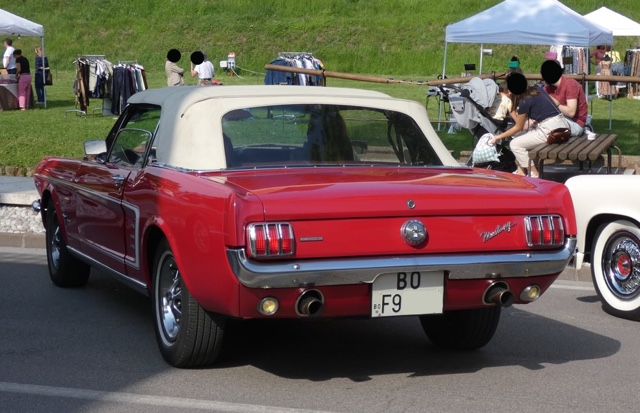 www.targhenere.net/gallery2/wp-content/uploads/2022/05/fordmustang_gabford_tn44450.jpg