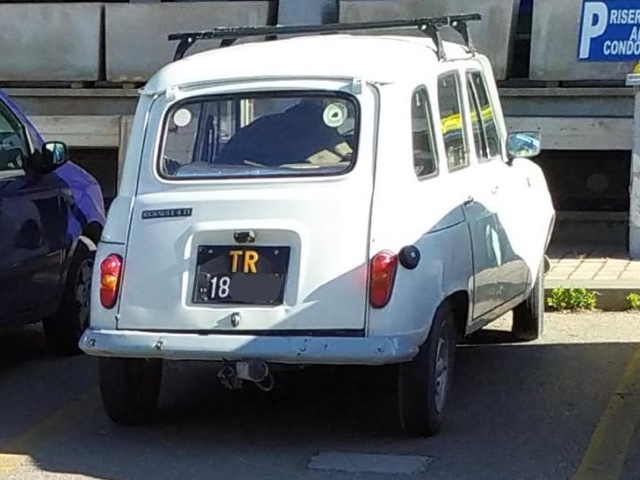 www.targhenere.net/gallery2/wp-content/uploads/2022/05/renault_4_tl_1_argiuliasuper_tn59152.jpg
