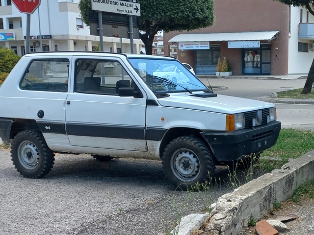 www.targhenere.net/gallery2/wp-content/uploads/2022/07/fiat_panda_4x4_2.jpg