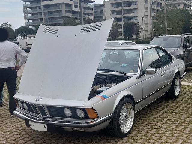 www.targhenere.net/gallery2/wp-content/uploads/2022/11/bmw_e24_635_csi_tonymura.jpg