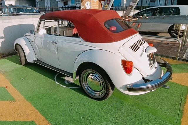 www.targhenere.net/gallery2/wp-content/uploads/2022/11/volkswagen_maggiolone_cabriolet_2.jpg