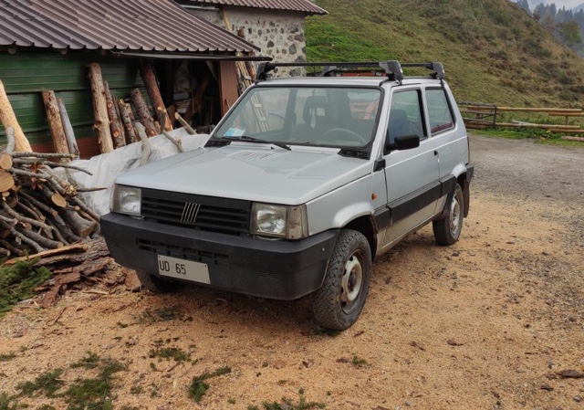 www.targhenere.net/gallery2/wp-content/uploads/2023/04/fiat_panda_4x4_1990_2.jpg