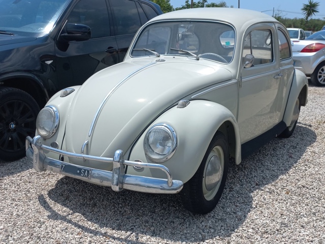 www.targhenere.net/gallery2/wp-content/uploads/2023/07/volkswagen_maggiolino_2.jpg