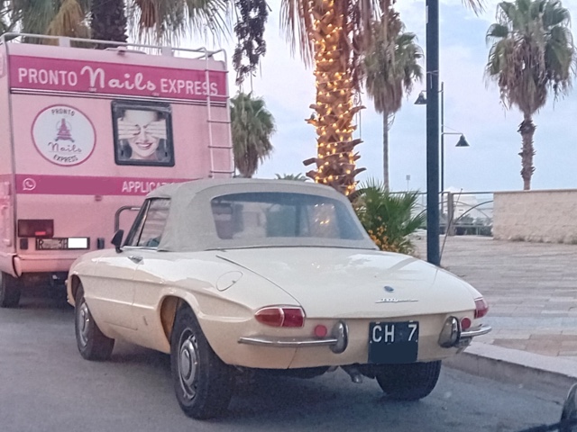 www.targhenere.net/gallery2/wp-content/uploads/2023/10/alfa_romeo_spider_i_osso_di_seppia_1300_junior_tonymura_tn31185.jpg