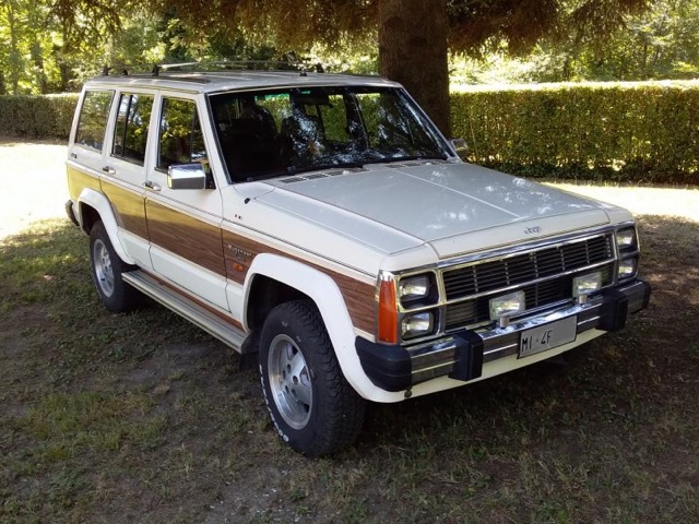 www.targhenere.net/gallery2/wp-content/uploads/2023/12/jeep_wagoneer_40_litre_4x4_1987_2.jpg