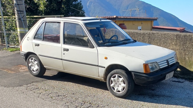 www.targhenere.net/gallery2/wp-content/uploads/2024/01/peugeot_205_2.jpg