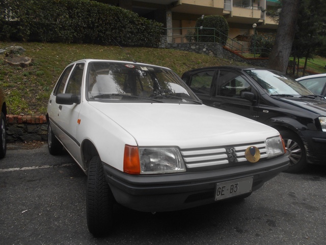 www.targhenere.net/gallery2/wp-content/uploads/2024/03/peugeot_205_gen_24_blowup_tn71202.jpg
