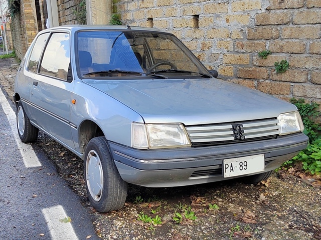 www.targhenere.net/gallery2/wp-content/uploads/2024/03/peugeot_205_pa89.jpg