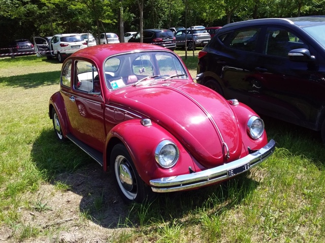 www.targhenere.net/gallery2/wp-content/uploads/2024/05/volkswagen_maggiolino_1200_1969_2.jpg