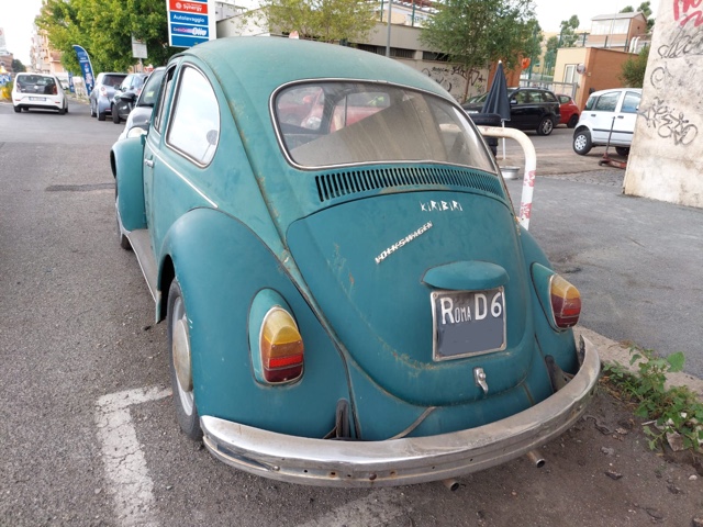www.targhenere.net/gallery2/wp-content/uploads/2024/06/maggiolino_bue_tn10899_02.jpg