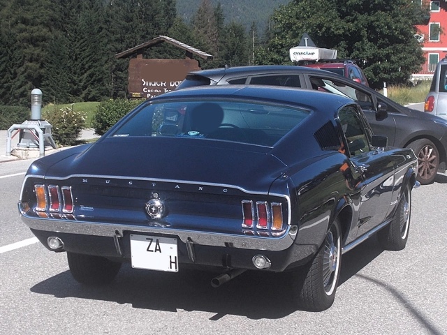www.targhenere.net/gallery2/wp-content/uploads/2024/08/fordmustangfastback-te1995_siralec_tn42423.jpg