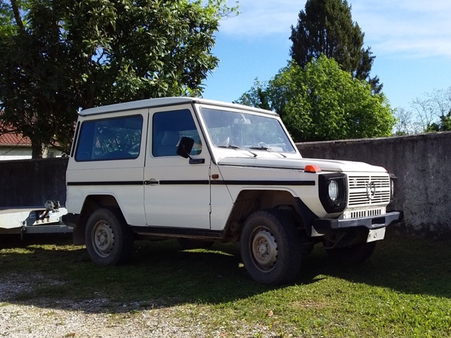 www.targhenere.net/gallery2/wp-content/uploads/2024/09/mercedes_benz_300_gd_1987_1990_2.jpg