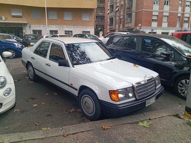 www.targhenere.net/gallery2/wp-content/uploads/2024/11/mercedes-benz_200_e_89_strabuzov_tn69722.jpg
