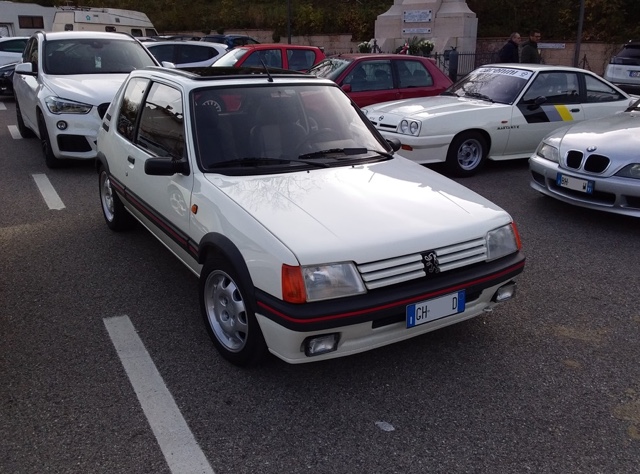 www.targhenere.net/gallery2/wp-content/uploads/2024/11/peugeot_205_gti_19_1989_2022_2.jpg