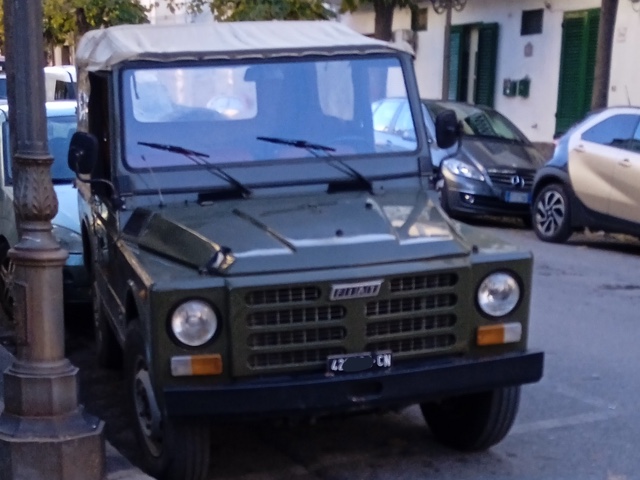 www.targhenere.net/gallery2/wp-content/uploads/2024/12/fiat_campagnola_bz_anteriore_kanonx_tn17685.jpg