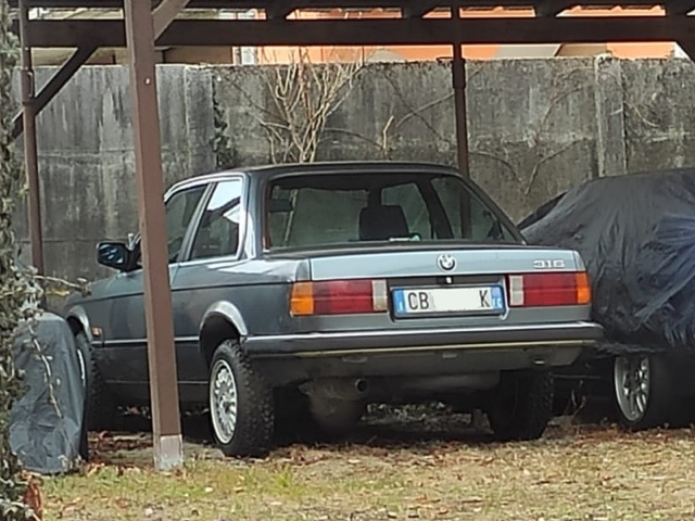 www.targhenere.net/gallery2/wp-content/uploads/2025/02/bmw_316_18_1984_2002_deltago_tn11643.jpg