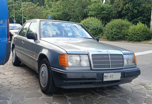 www.targhenere.net/gallery2/wp-content/uploads/2025/05/mercedes-benz_250_d_w124_-_1989_1.jpg