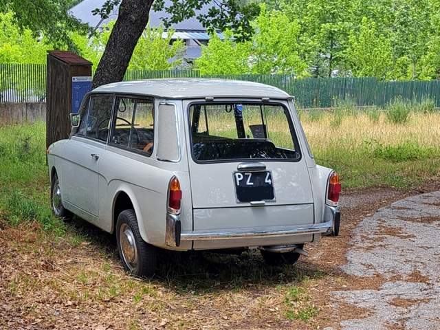 www.targhenere.net/gallery2/wp-content/uploads/2025/06/autobianchi_bianchina_panoramica_argiuliasuper_tn72982.jpg