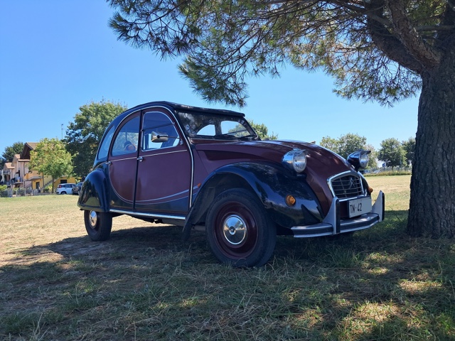 www.targhenere.net/gallery2/wp-content/uploads/2025/08/citroen_2cv_fronte_oinotna_tn64735.jpg