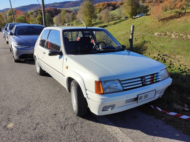 www.targhenere.net/gallery2/wp-content/uploads/2025/08/peugeot_205_rallye_13_1989_2.jpg