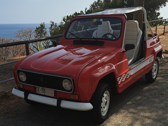 www.targhenere.net/gallery2/wp-content/uploads/2025/08/renault_4_frog_2.jpg