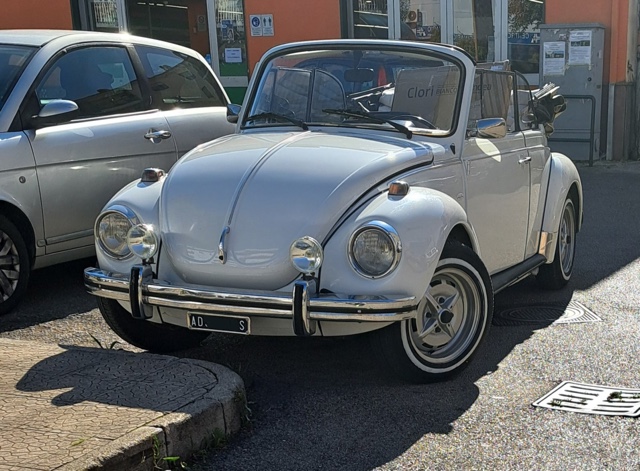 www.targhenere.net/gallery2/wp-content/uploads/2025/10/vw_maggiolone_2-1.jpg