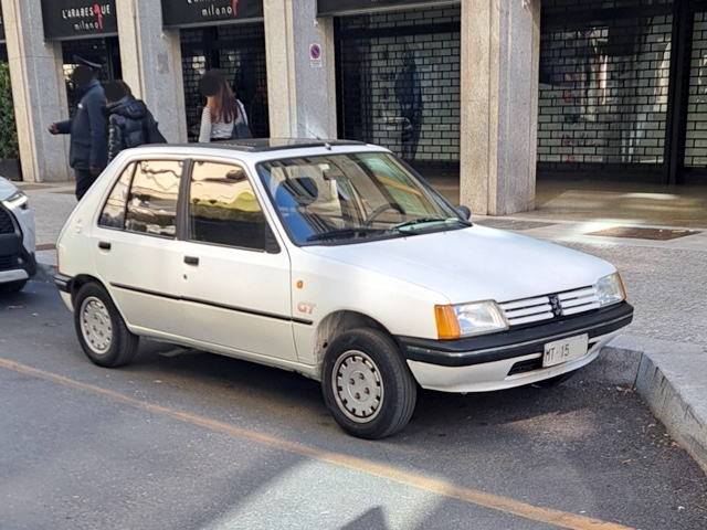 www.targhenere.net/gallery2/wp-content/uploads/2026/03/peugeot_205_1_1.jpg