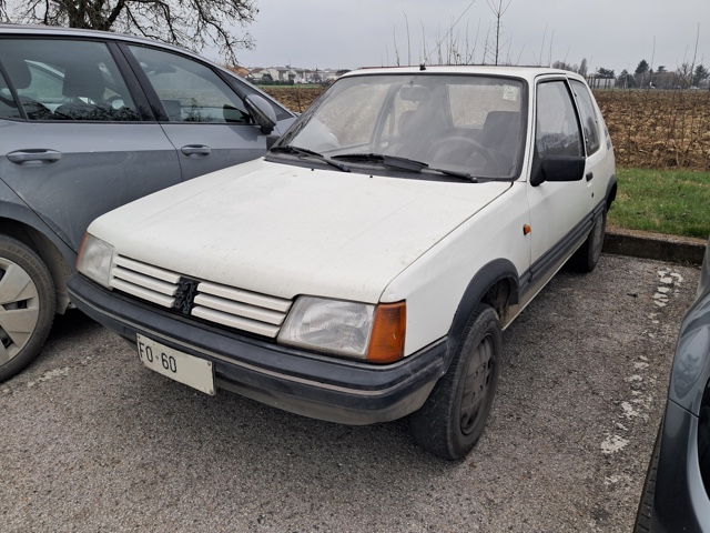 www.targhenere.net/gallery2/wp-content/uploads/2026/03/peugeot_205_fronte_oinotna_tn75448.jpg