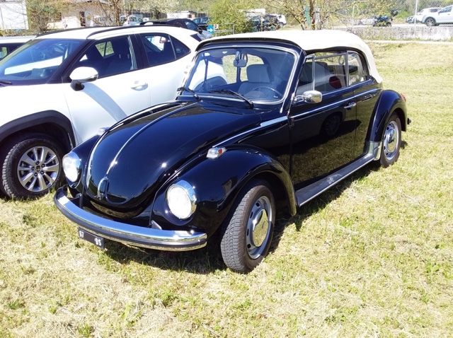 www.targhenere.net/gallery2/wp-content/uploads/2026/03/volkswagen_maggiolone_cabriolet_1303_1300_1974_1980_2.jpg