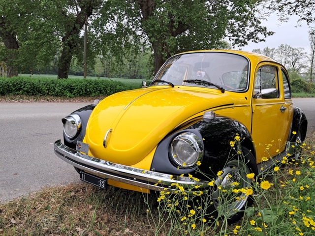 www.targhenere.net/gallery2/wp-content/uploads/2026/04/volkswagen_maggiolone_fronte_oinotna_tn56345.jpg