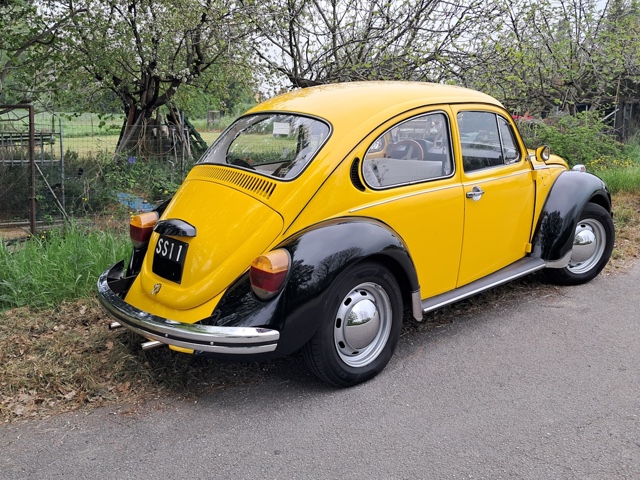 www.targhenere.net/gallery2/wp-content/uploads/2026/04/volkswagen_maggiolone_retro_oinotna_tn56345.jpg
