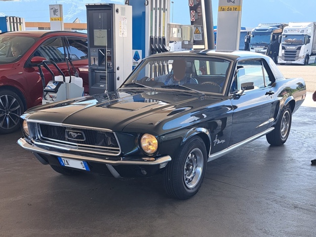 www.targhenere.net/gallery2/wp-content/uploads/2026/08/ford_mustang_2.jpg