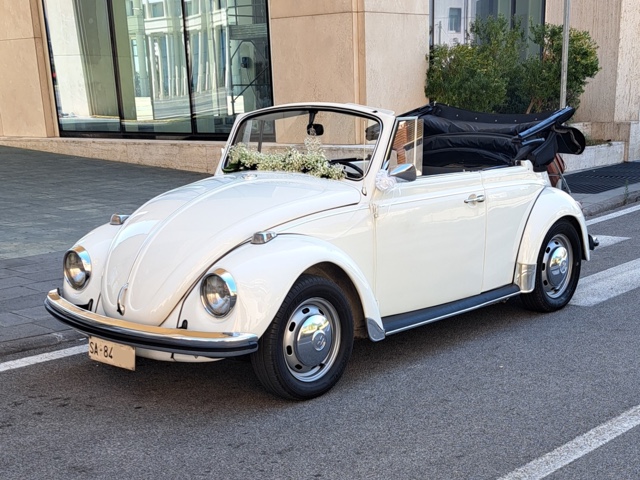 www.targhenere.net/gallery2/wp-content/uploads/2026/08/vw_maggiolone_cabriolet_2.jpg